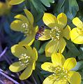 T-20150308-143054_IMG_9107-7a aa